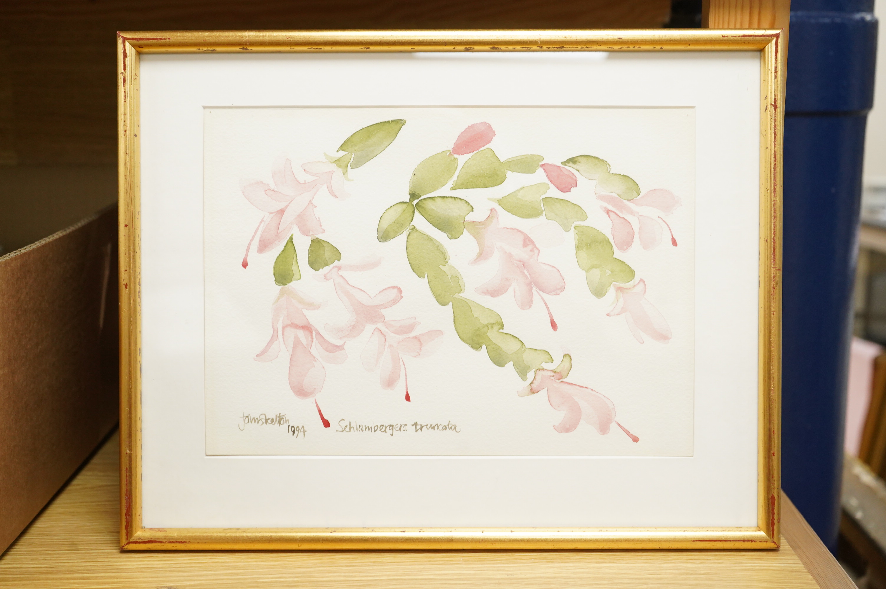 John Skelton (1925-2009), Botanical studies, each signed and dated, three watercolours and a pencil study, largest 30 x 22cm, Provenance: from the artist's family